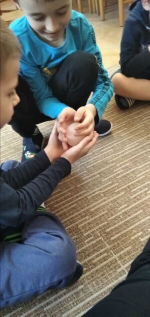 IMG-2051